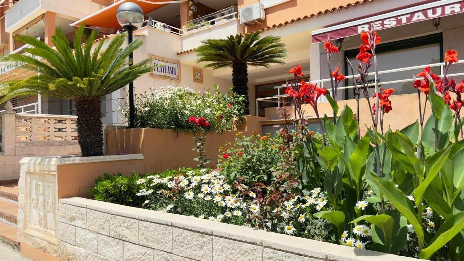 Paradise Solo Familias