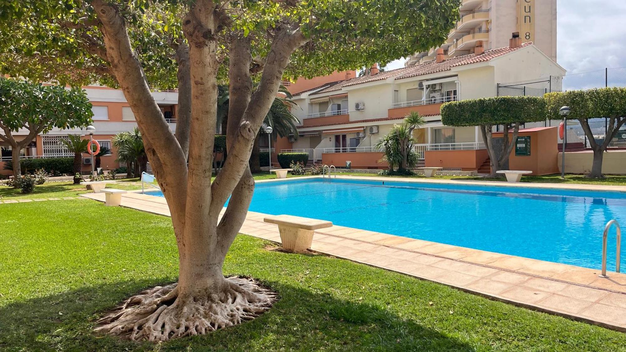Appartement Paradise Solo Familias